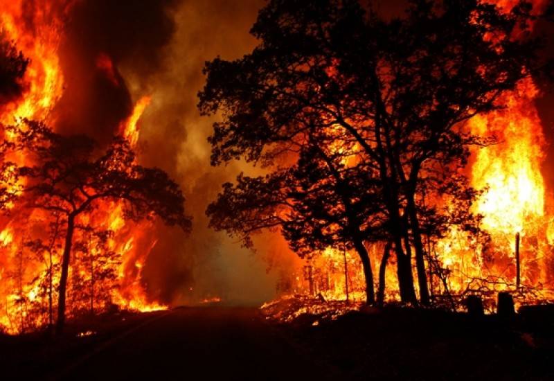 ۳ هکتار از جنگل‌های لنده در آتش سوخت (+ تصاویر)