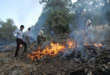 مهار حریق کوه خائیز پس از ۹ ساعت تلاش شبانه محیط‌بانان