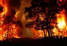 آتش‌ جنگل‌های «خائیز» کهگیلویه بعد از ۹ ساعت مهار شد