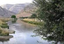 نابسامانی در حاشیه رود بشار یاسوج / کاشت غیرقانونی صیفی‌جات در مسیر رودخانه