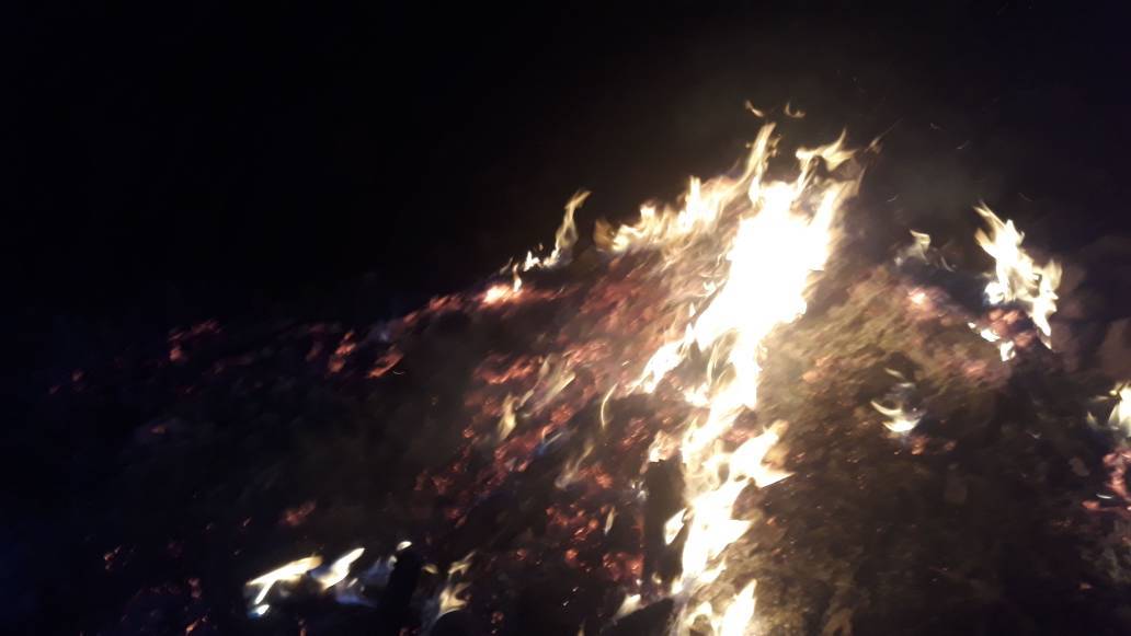 آتش سوزی در کوه «ممبل» دیشموک
