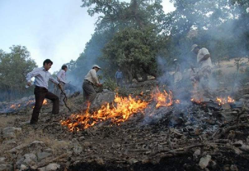 10 هکتار از جنگل های سرفاریاب در آتش سوخت