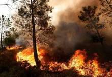 جزئیات آتش‌سوزی جنگل‌های «باشت» و «یاسوج»