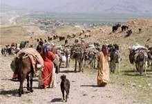 وضعیت بحرانی آب در مناطق عشایری استان / 400 چشمه آب عشایر خشک شده است