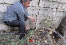 کاهش 80 لیتری دبی چاه‌های تامین آب شرب شهر  یاسوج/شهروندان صرفه‌جویی را جدی بگیرند