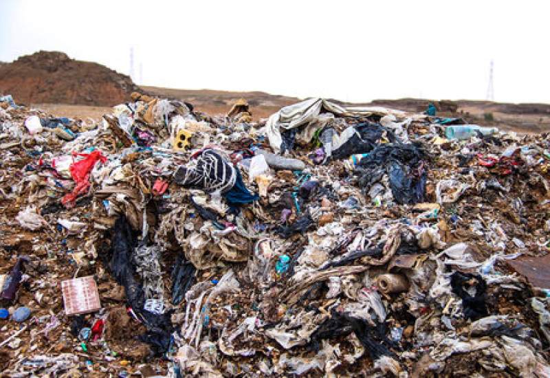 تجمع سگ‌های ولگرد در زباله‌های رها شده دوگنبدان / کهگیلویه و بویراحمد بدون کارخانه بازیافت پسماند