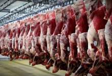 قیمت گوشت بره و بزغاله روی میز مدیران کهگیلویه و بویراحمد 46 و روی پیشخوان قصابی‌ها 55‌ هزار تومان!!