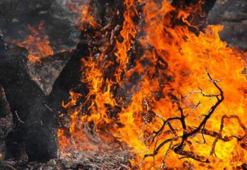 جنگل‌های سرفاریاب در آتش می‌سوزد / مسوولان و مردم برای مهار آتش کمک کنند