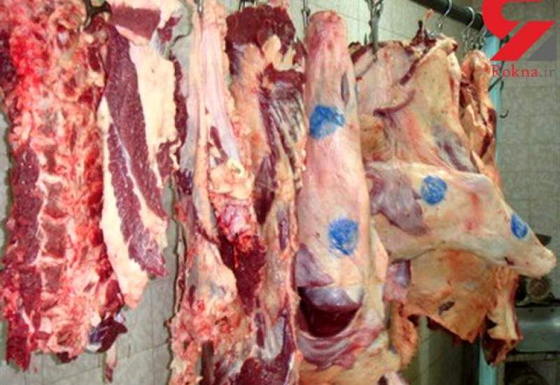 کشف نیم تن «گوشت آلوده» از یک منزل مسکونی در یاسوج