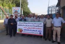 همایش پیاده روی کارکنان  شبکه بهداشت در دهدشت برگزار شد+عکس