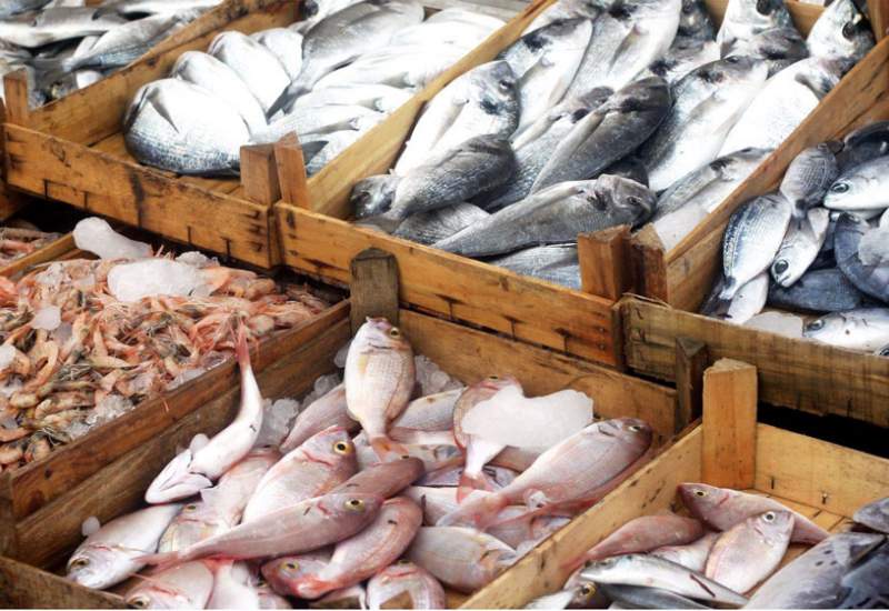 بازارچه ماهی یاسوج تعطیل شد
