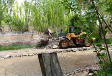کاشت غیرقانونی درخت ثمری در زمین‌های ملی گچساران توسط سودجویان / قلع و قمع 100 درخت