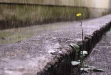 ورود سامانه بارشی جدید به کهگیلویه و بویراحمد از روز چهارشنبه