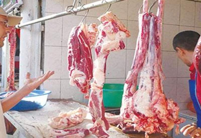 پلمپ ۲۰ مرکز عرضه غیرمجاز گوشت دام در اطراف شهر یاسوج