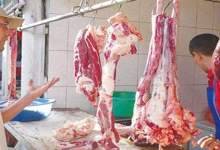 پلمپ ۲۰ مرکز عرضه غیرمجاز گوشت دام در اطراف شهر یاسوج