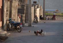 مادوان در سایه شهر یاسوج و با 21 هزار جمعیت بخشدار ندارد