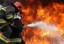 گاوداری ۳ هزار رأسی در «دنا» آتش گرفت (+ تصاویر )