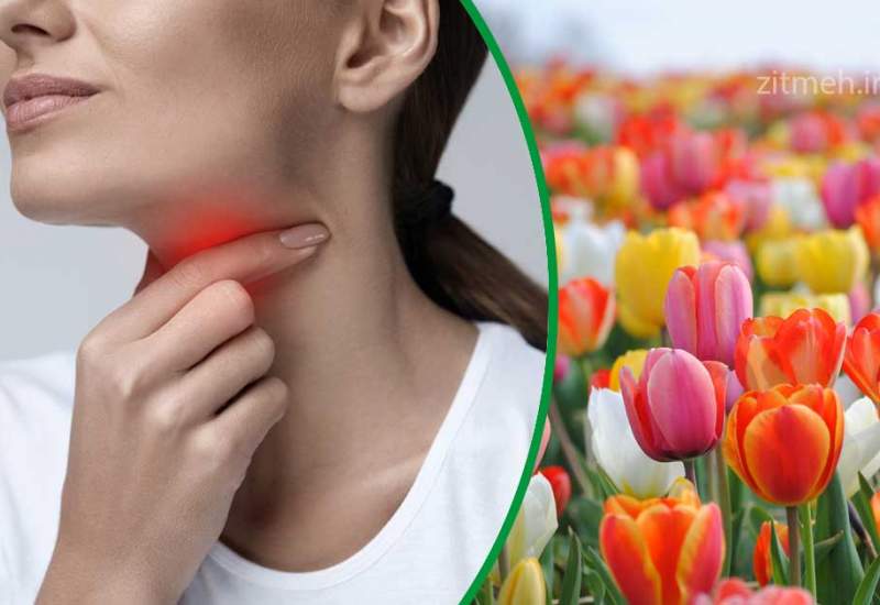 5 بیماری شایع در فصل بهار