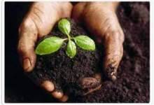 اقدامات فناورانه و دانش‌بنیان برای حفظ منابع خاک حمایت می‌شود