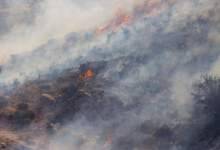 «دراک» شیراز در آتش سوخت/ نابودی ۵۰۰ هکتار اراضی فارس