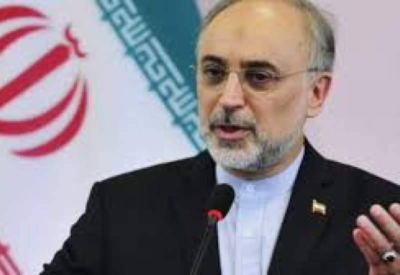 ایران ۲۰ درصد از تمامی دسترسی‌ها را برای آژانس فراهم کرده است