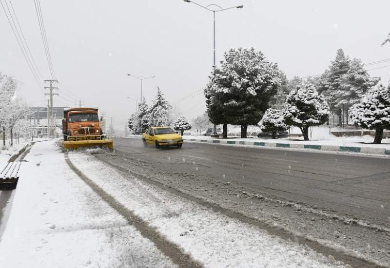 خیابان های یاسوج و برف روبی و برف تکانی درختان از ساعات اولیه صبح / عکس