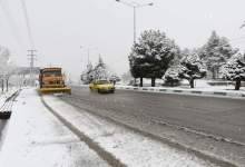 خیابان های یاسوج و برف روبی و برف تکانی درختان از ساعات اولیه صبح / عکس