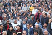 دهدشت | گزارش تصویری نشست هم اندیشیِ جمعی از مردم روستایِ «چنگلوا» با موحد (+تصاویر)