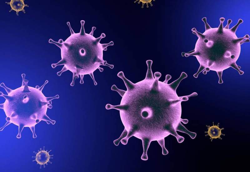 موردی از کروناویروس در کهگیلویه و بویراحمد مشاهده نشده است