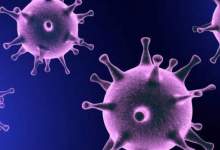 آخرین آمار مبتلایان و جانباختگان ویروس کرونا در کشور