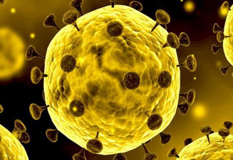 آخرین آمار مبتلایان به کرونا ویروس اعلام شد: شناسایی ۵۸۶ مورد جدید