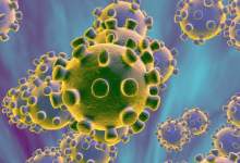3 نفر در یاسوج به ویروس کرونا مبتلا شدند