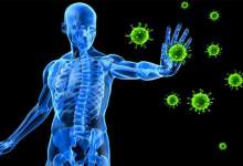 چگونه سیستم ایمنی بدن را در مقابل ویروس کرونا تقویت کنیم؟
