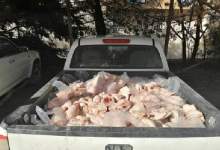 مأمور دامپزشکی بویراحمد مورد ضرب و شتم قرار گرفت / کشف 400 کیلوگرم مرغ انقضا یافته در یاسوج