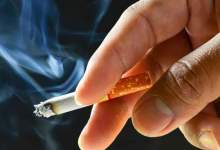 کشف ۲۴۸ هزار نخ سیگار قاچاق در شهرستان دنا