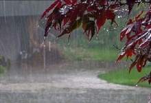 شدت بارش‌‌ها روز پنجشنبه در کهگیلویه و بویراحمد
