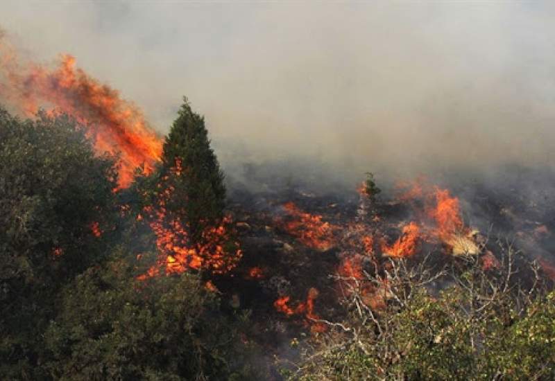 گسترش آتش‌سوزی در جنگل‌های گچساران / درخواست از وزارت دفاع