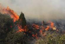 گسترش آتش‌سوزی در جنگل‌های گچساران / درخواست از وزارت دفاع