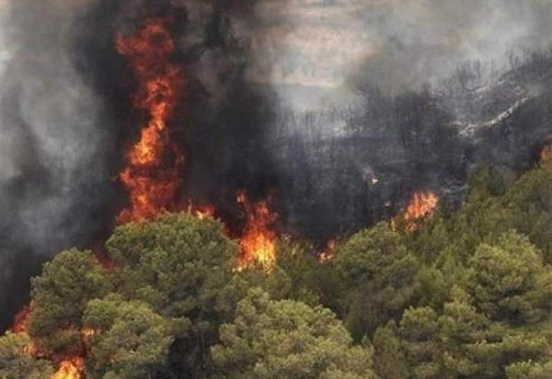 مهار آتش جنگل کوه‌های گچساران بعد از 80 ساعت نبرد