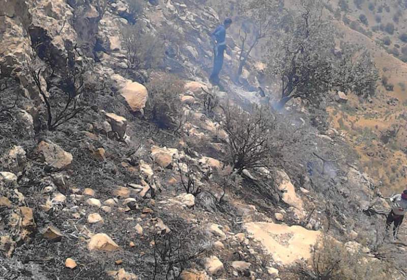 اخبار ضد و نقیض درباره مهار آتش‌سوزی جنگل‌ها