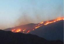 نفوذ آتش خوزستان به جنگل‌های کوه خائیز کهگیلویه