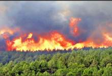 اختلاف دو دامدار شعله‌های آتش را به جان جنگل‌های کوه خائیز انداخت