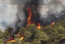 دلالان تولید زغال پشت پرده آتش سوزی جنگل‌های زاگرس