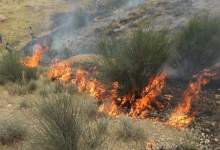 دستگیری عاملان آتش سوزی منطقه حفاظت شده خائیز