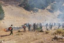 مصدومیت 3 نفر از کارکنان حفاظت محیط زیست کهگیلویه و بویراحمد در اطفاء حریق