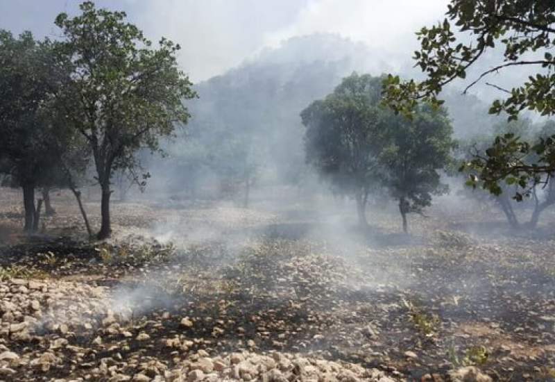 عاملان آتش سوزی جنگل‌های کهگیلویه و بویراحمد دستگیر شدند / این 24 نفر چه کسانی هستند؟