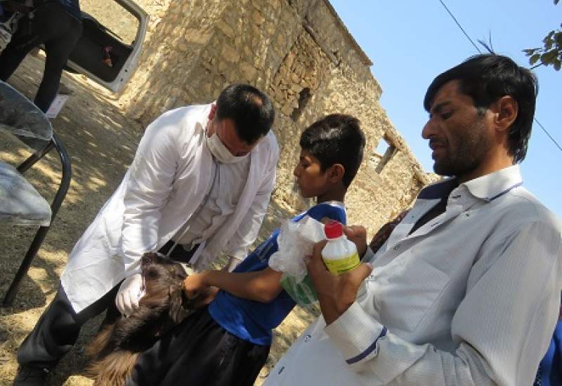 افتتاحیه طرح رایگان بهداشتی دامپزشکی از عید قربان تا عید غدیرخم + تصاوير