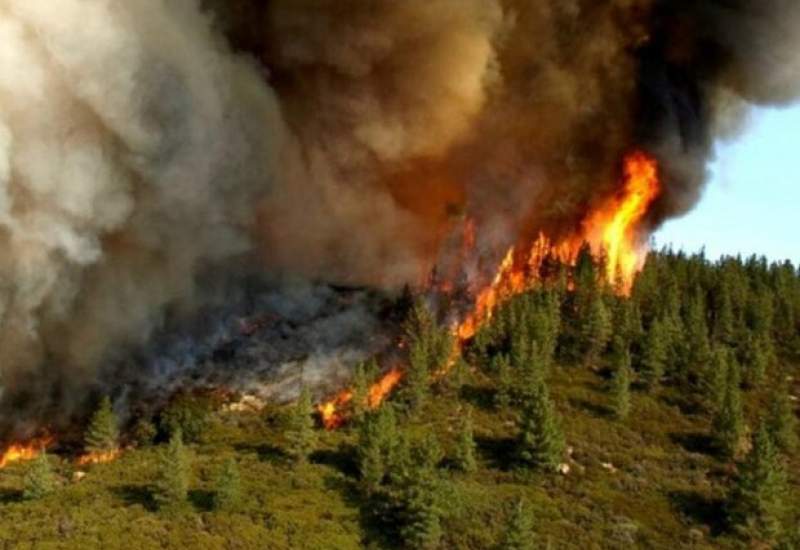 مهار آتش‌سوزی جنگل‌های اطراف روستای کریک دنا