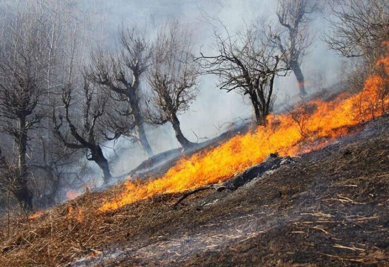 آتش‌سوزی گسترده در جنگل‌های کوه سفید کهگیلویه و بویراحمد