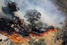 آتش سوزی جنگل‌های کوه پهن بعد از 4 روز مهار شد